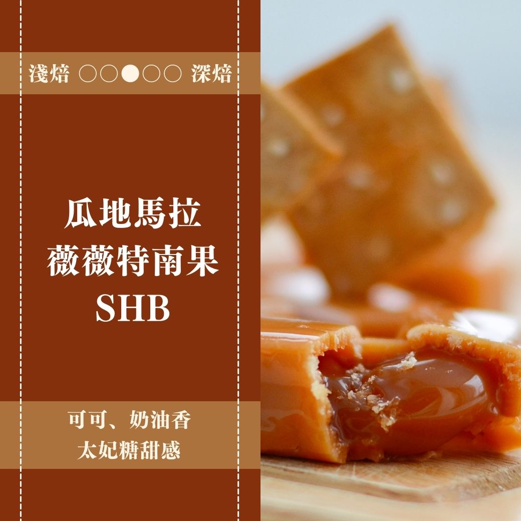 瓜地馬拉。薇薇特南果。SHB。水洗